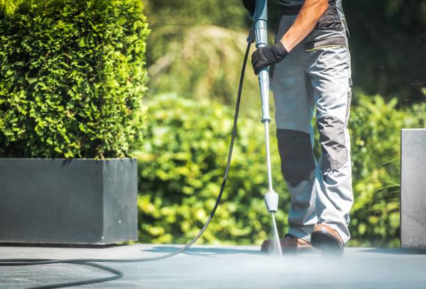 Best Spring Cleaning  in Wapello, IA