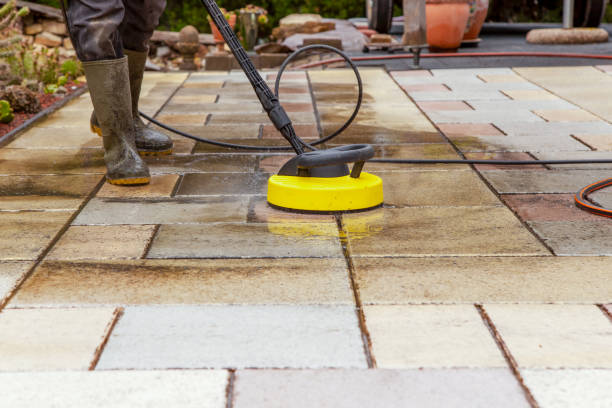 Best House Exterior Washing  in Wapello, IA