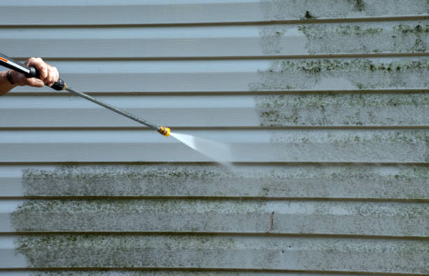 Best Driveway Pressure Washing  in Wapello, IA