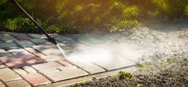 Best Animal Enclosure Cleaning  in Wapello, IA